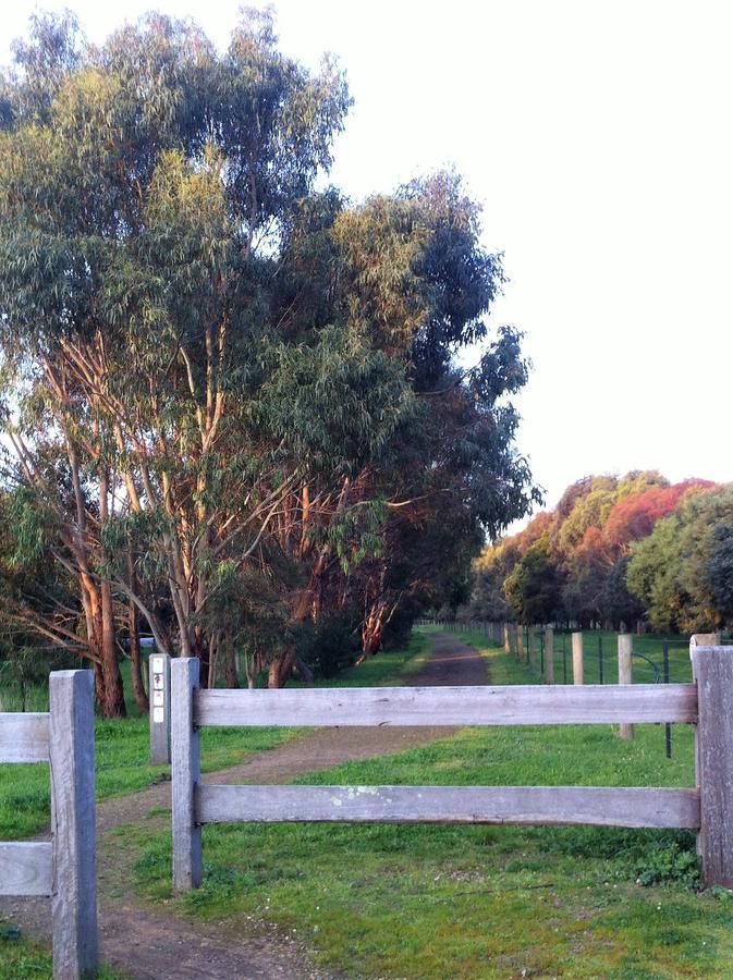 The Estate Koroit Boutique Hotel Экстерьер фото